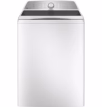 GE Profile PTW600BSRWS (2)