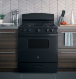 GE JGBS10DEMBB (5)