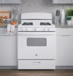 GE JGBS10DEMWW (7)
