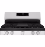 GE GGF500PVSS (6)