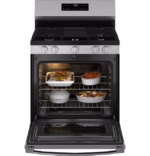GE GGF500PVSS (5)