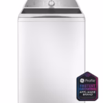 GE Profile PTW600BSRWS