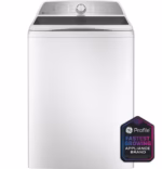 GE Profile PTW600BSRWS