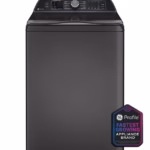 GE Profile PTW700BPTDG