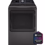 GE Profile PTD70GBPTDG